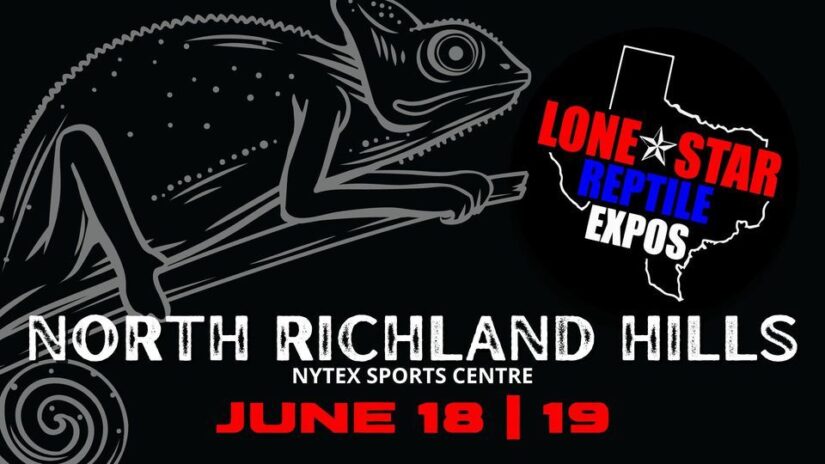 Lone Star Reptile Expo