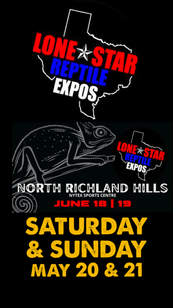 Lone Star Reptile Expo
